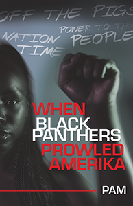 When Black Panthers Prowled Amerika